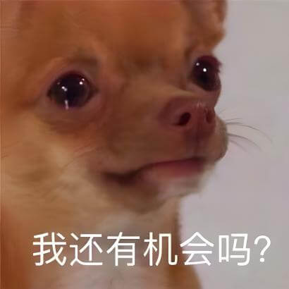 我还有机会吗是什么意思