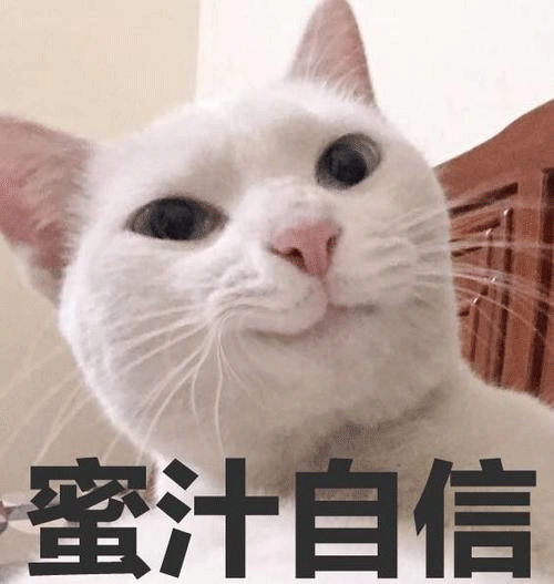 ֭ʲô˼