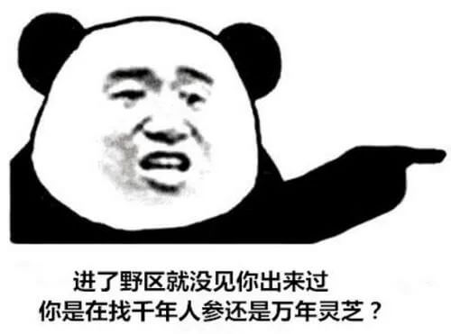 正版打野是什么意思