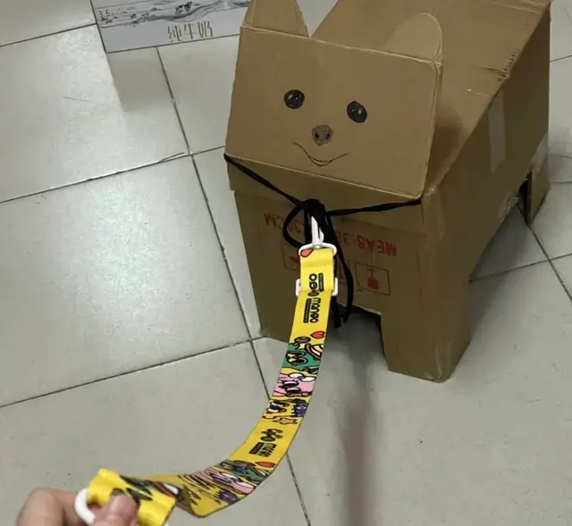 宿舍养狗是什么意思