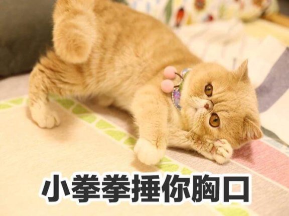 小拳拳捶你胸口是什么意思