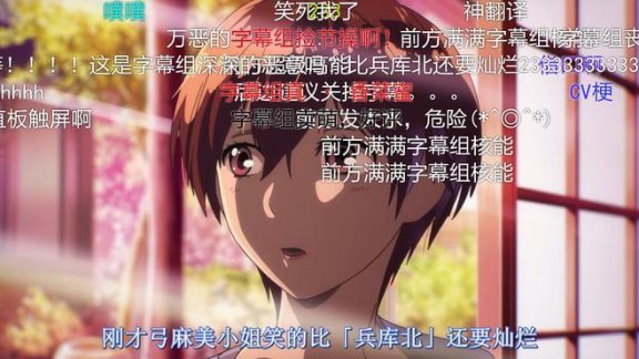 字幕组调皮了是什么意思