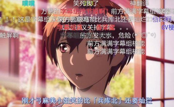 字幕组调皮了是什么意思