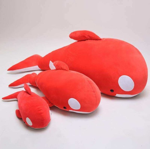 红色虎鲸是什么意思