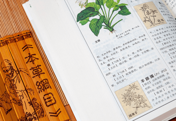 ​本草纲目是什么意思