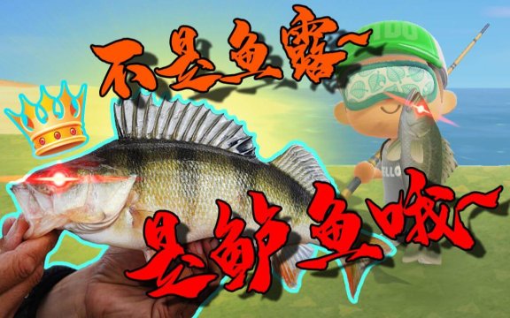 不是鱼露是鲈鱼是什么意思