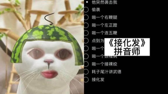 接化发BGM是什么意思