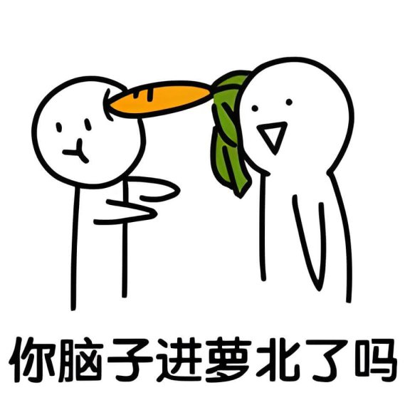 你脑子进萝北了吗是什么意思