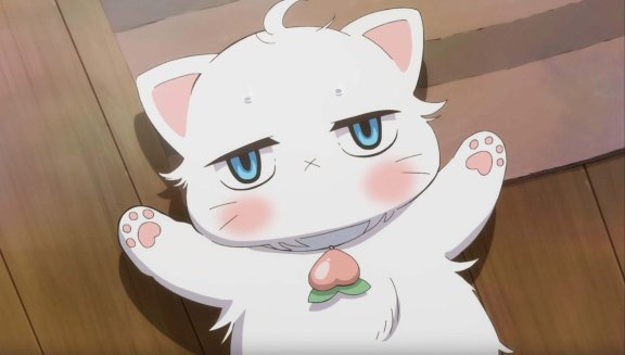 天然呆是什么梗？