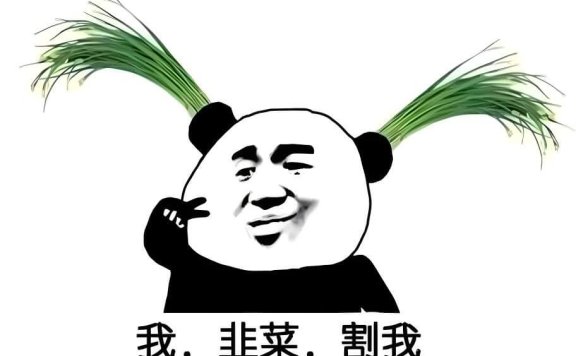 韭菜人是什么意思