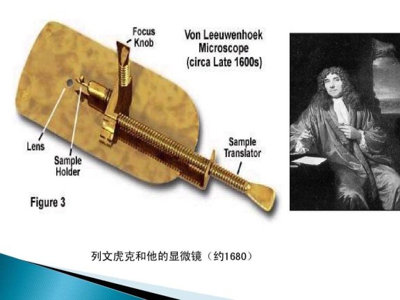列文虎克是什么意思