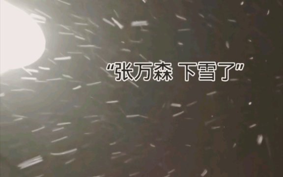 张万森下雪了什么意思