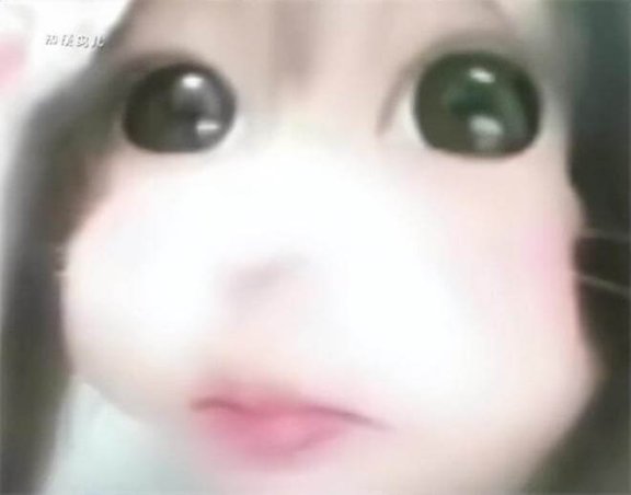 少萝宝宝是什么意思