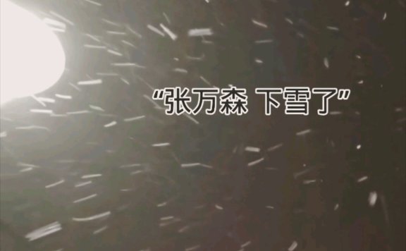 张万森下雪了什么意思