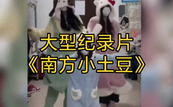 南方小土豆是什么意思