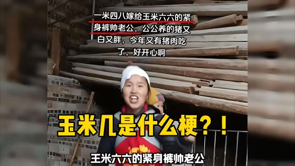 “玉米几”是什么意思