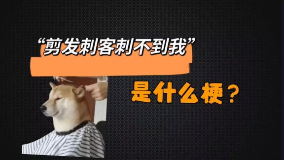 剪头刺客是什么梗？